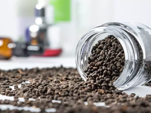 Bakuchiol: Nature’s Answer for Advanced Skincare and Health Innovation