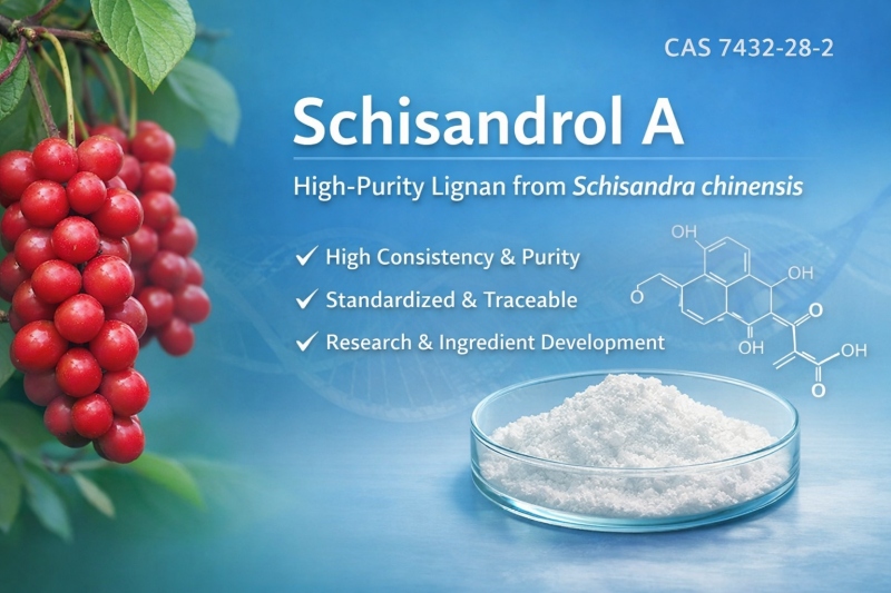Schisandrol A (CAS 7432-28-2): A High-Purity Lignan from Schisandra chinensis for Research and Ingredient Development